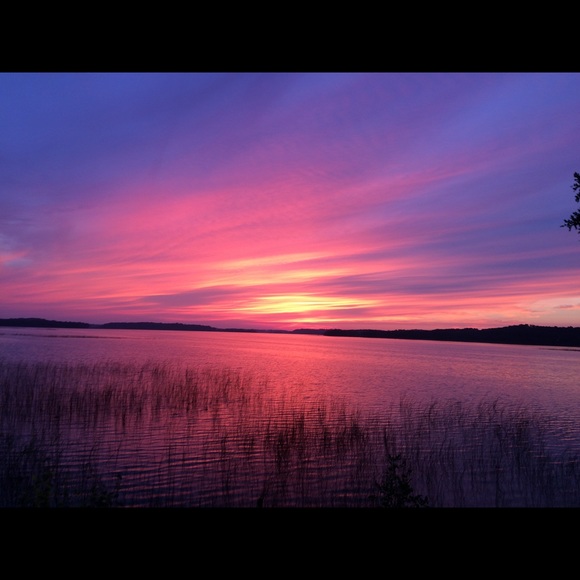 Meet your Posher, Tamar - Picture 1 of 1